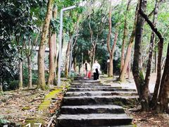 -风云岭森林公园