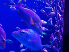 -成都浩海立方海洋公园