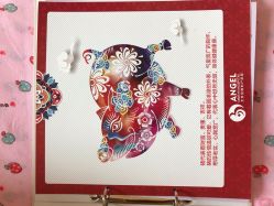 -北京安琪