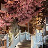 【治愈系】大院河仙鱼庄，环境好到让人心旷神怡