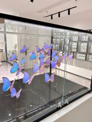 -酷嗒动物文化乐园(cutezoo西溪乐天城店)