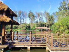 -溱湖国家湿地公园