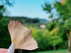 -北京金海湖景区