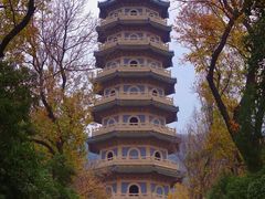 -灵谷景区