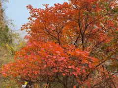 -京东石林峡风景区