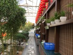 -老磨油饼(高陵店)