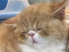 -乐宠宠物店(世纪金源店)