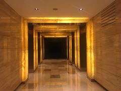 -上海龙之梦万丽酒店