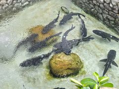 -耕渔小院·湖南鱼鲜(望城店)