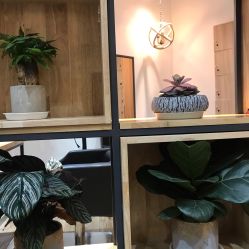 -曼都发型·臻选