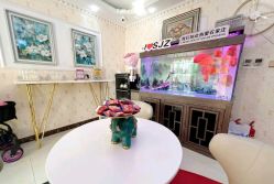 -安院长·产后恢复·徒手骨盆(先天下店)