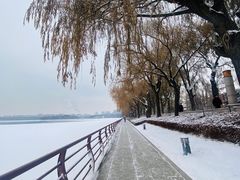 -长春市南湖公园