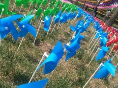 -武清南湖绿博园