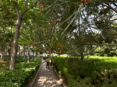 -山东师范大学(千佛山校区)