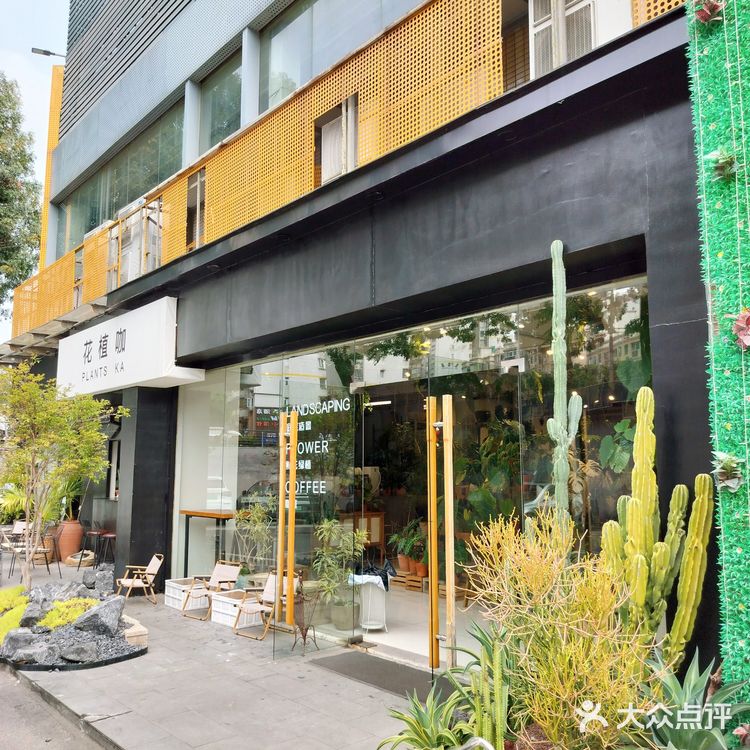 绿植环绕的咖啡馆