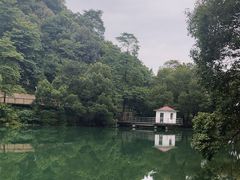 -天花井景区