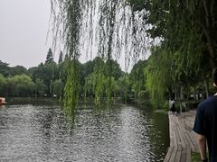 -泰州凤城河风景区-泰山公园