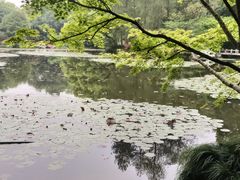 -杭州植物园