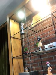 -时尚殿堂·颜SPA