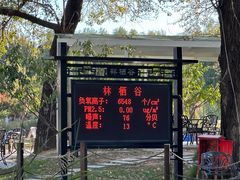 -林栖谷森林康养度假区
