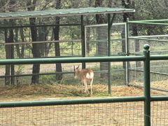 -青藏高原野生动物园