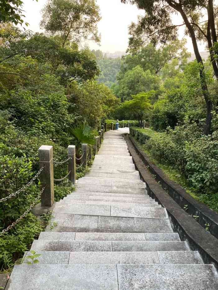 平峦山公园"一个星期两次爬山,深圳的山几乎都爬遍了.