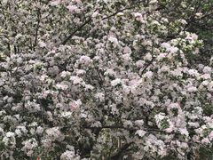 -山东师范大学(千佛山校区)