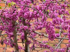 -浙江大学(玉泉校区)