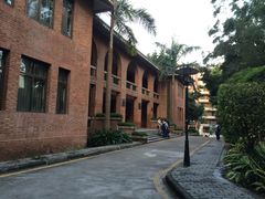 -中山大学学者灵芝(园南路店)