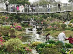 -东莞植物园