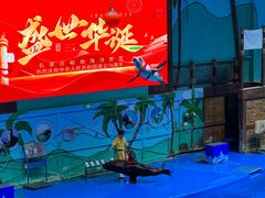 -石家庄极地海洋世界