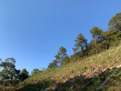 -分塔山省级森林公园