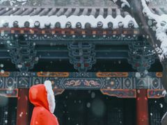 -中原农家乐(中原饭店)