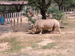 -深圳野生动物园