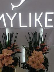 -深圳美莱医疗美容医院