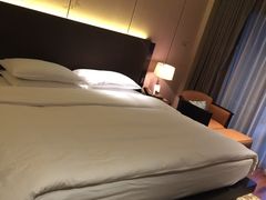 -上海崇明金茂凯悦酒店