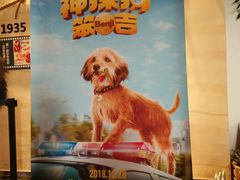 -奥斯卡西元国际影城(4K激光巨幕&杜比全景声沙发座椅)