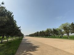 -汉长安城未央宫国家考古遗址公园