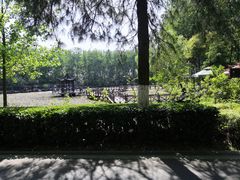 -合肥滨湖国家森林公园