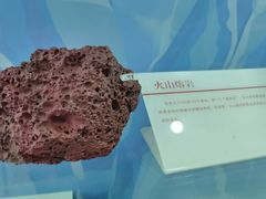 -中国第四纪冰川遗迹陈列馆