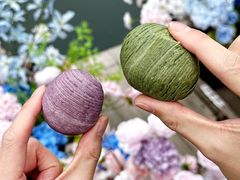 -稻香村(观前街店)