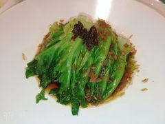 白灼罗马生菜-肆月河豚·新淮扬(金融街店)