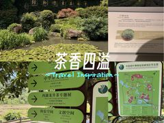 -中国茶叶博物馆(双峰馆区)