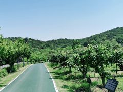 -龙寺生态园