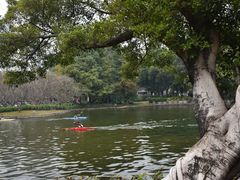 -晓港公园