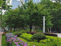 -常熟路(地铁站)