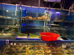 -辉记炭烧海鲜大排档·老字号(福田店)