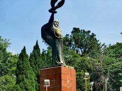 -放鹰台遗址