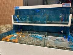 -龙岩佰翔京华酒店(京华购物中心店)