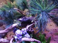 景点-郑州海洋馆